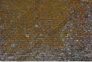 wall bricks overgrown moss 0008